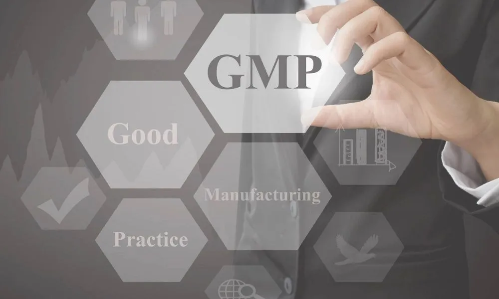 1000600GMP